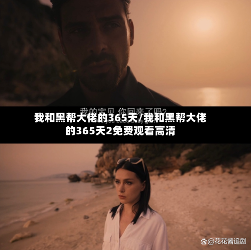 我和黑帮大佬的365天/我和黑帮大佬的365天2免费观看高清-第2张图片