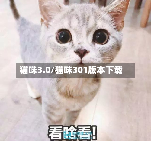 猫咪3.0/猫咪301版本下载