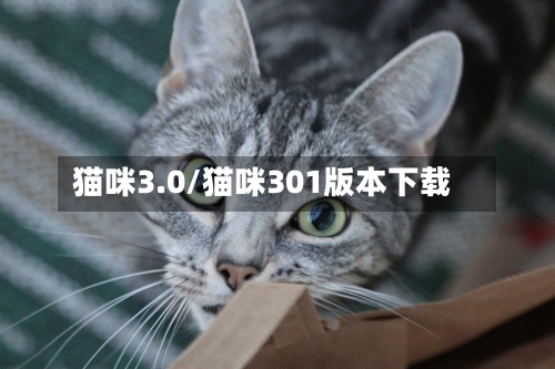 猫咪3.0/猫咪301版本下载-第3张图片