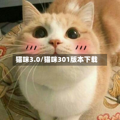 猫咪3.0/猫咪301版本下载-第2张图片