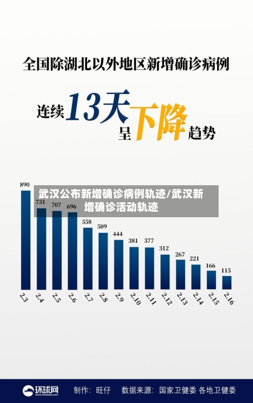 武汉公布新增确诊病例轨迹/武汉新增确诊活动轨迹-第2张图片