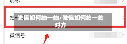 微信如何拍一拍/微信如何拍一拍对方-第2张图片