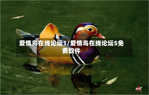爱情鸟在线论坛1/爱情鸟在线论坛5免费软件