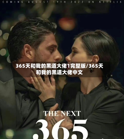 365天和我的黑道大佬1完整版/365天和我的黑道大佬中文-第1张图片