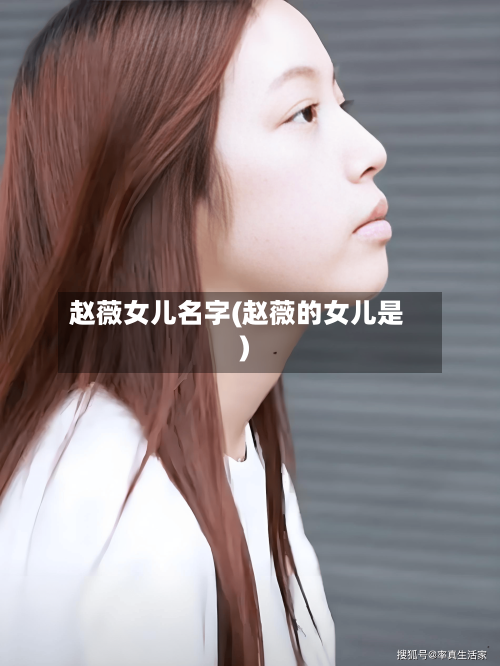 赵薇女儿名字(赵薇的女儿是)-第3张图片
