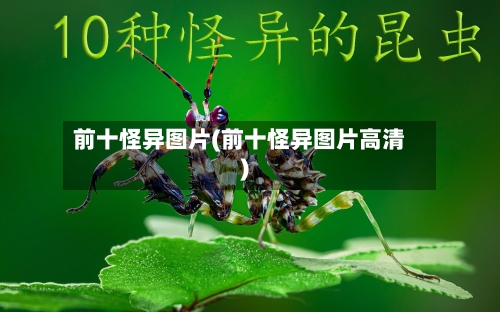前十怪异图片(前十怪异图片高清)-第1张图片