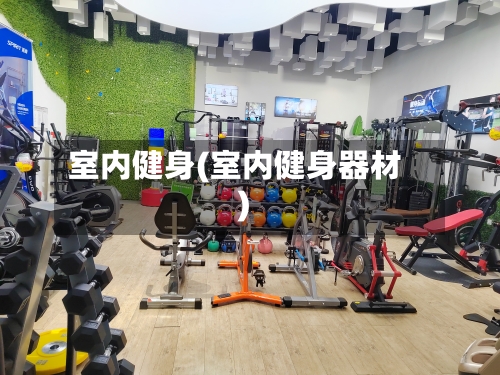 室内健身(室内健身器材)