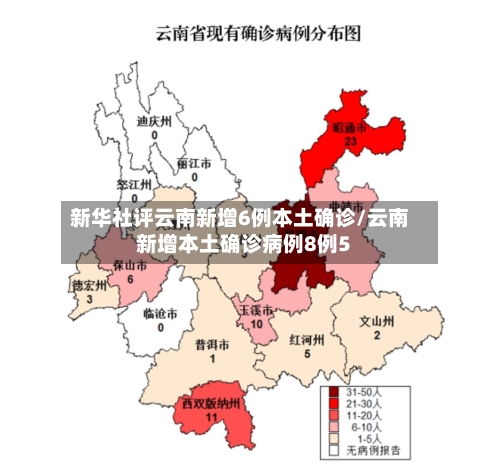 新华社评云南新增6例本土确诊/云南新增本土确诊病例8例5