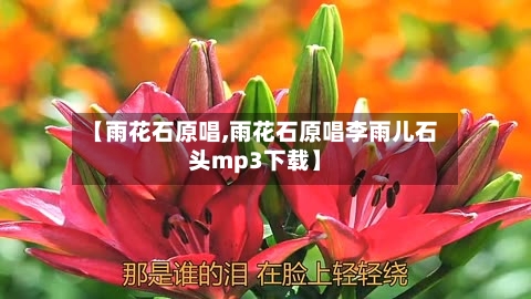 【雨花石原唱,雨花石原唱李雨儿石头mp3下载】