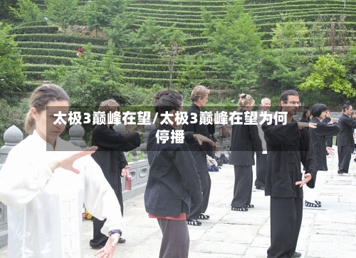 太极3巅峰在望/太极3巅峰在望为何停播