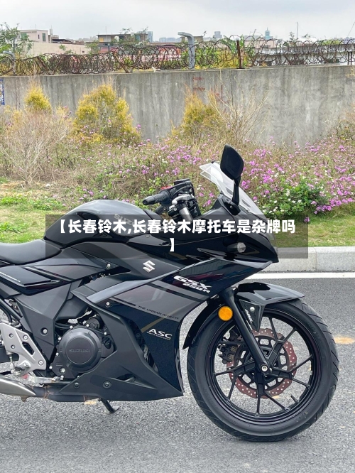 【长春铃木,长春铃木摩托车是杂牌吗】-第3张图片
