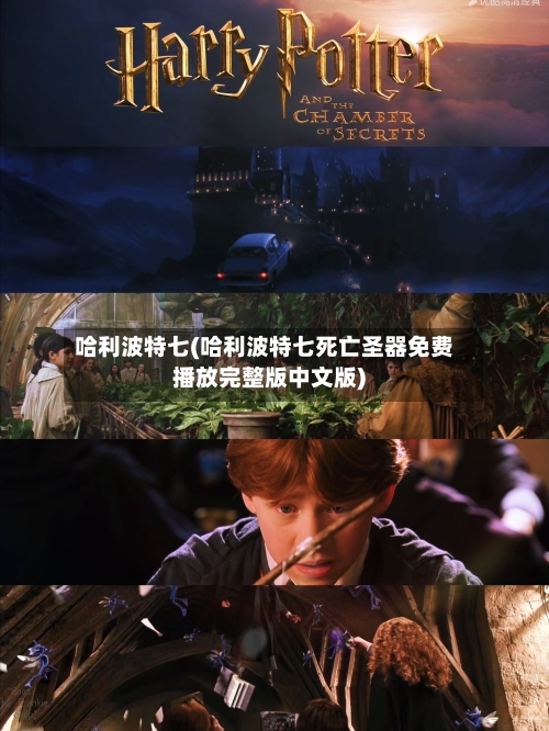哈利波特七(哈利波特七死亡圣器免费播放完整版中文版)-第3张图片