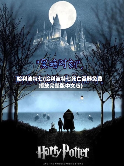 哈利波特七(哈利波特七死亡圣器免费播放完整版中文版)