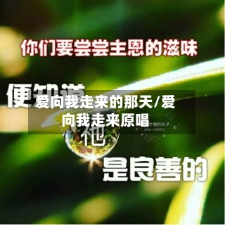 爱向我走来的那天/爱向我走来原唱-第2张图片