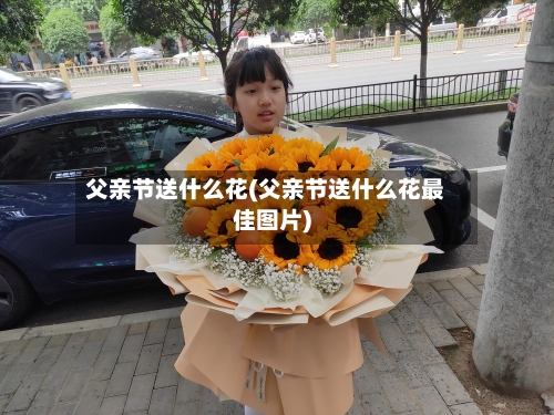 父亲节送什么花(父亲节送什么花最佳图片)