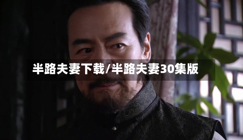 半路夫妻下载/半路夫妻30集版