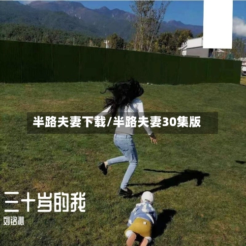 半路夫妻下载/半路夫妻30集版-第2张图片