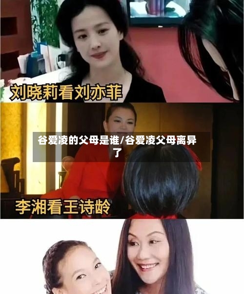谷爱凌的父母是谁/谷爱凌父母离异了-第2张图片