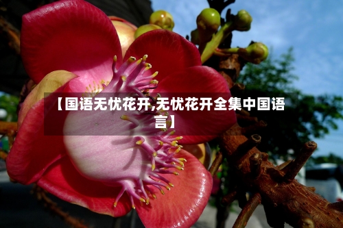 【国语无忧花开,无忧花开全集中国语言】