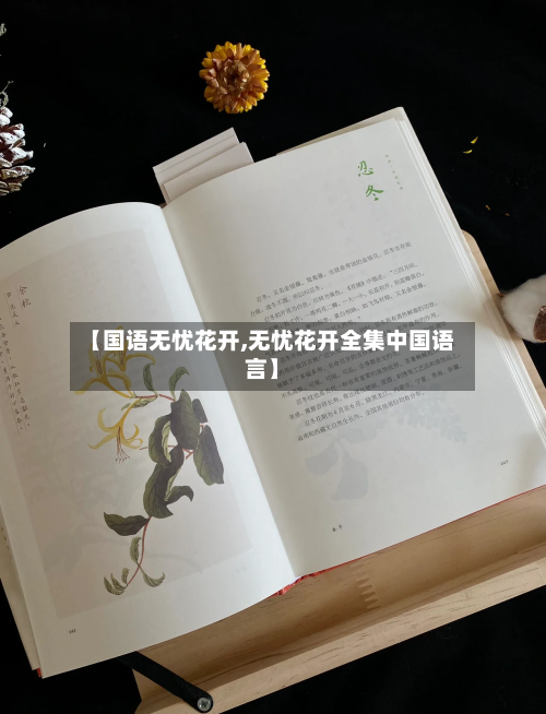 【国语无忧花开,无忧花开全集中国语言】-第2张图片
