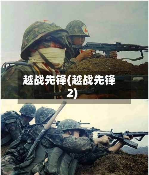 越战先锋(越战先锋2)