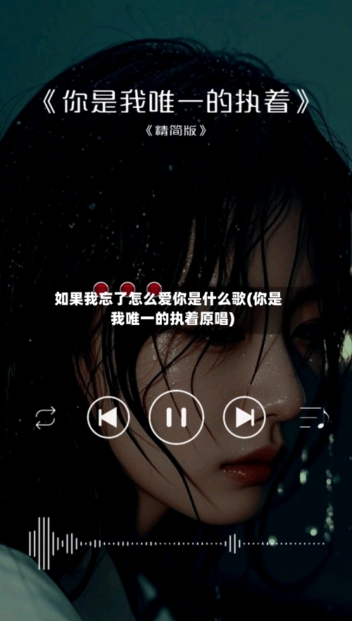 如果我忘了怎么爱你是什么歌(你是我唯一的执着原唱)