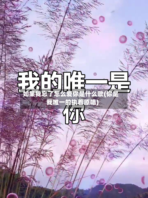 如果我忘了怎么爱你是什么歌(你是我唯一的执着原唱)-第2张图片