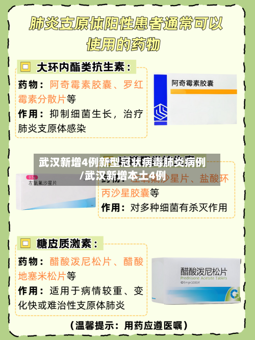 武汉新增4例新型冠状病毒肺炎病例/武汉新增本土4例