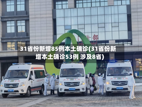 31省份新增85例本土确诊(31省份新增本土确诊53例 涉及8省)