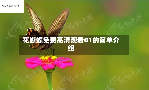 花蝴蝶免费高清观看01的简单介绍-第1张图片