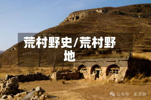 荒村野史/荒村野地-第2张图片