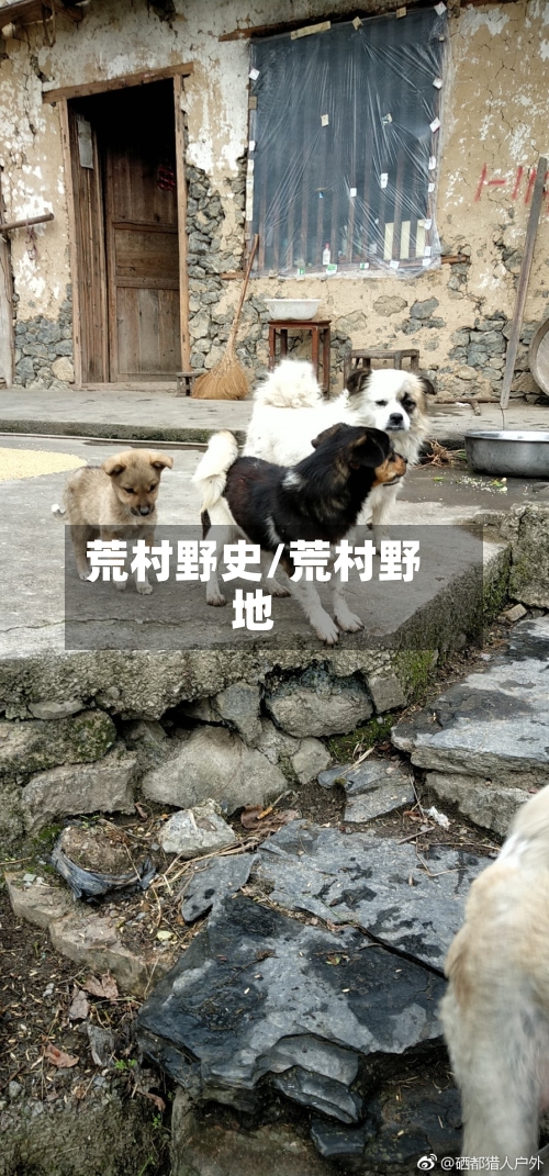 荒村野史/荒村野地