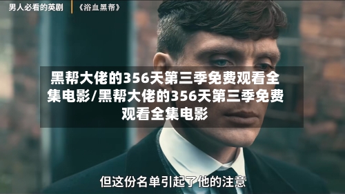 黑帮大佬的356天第三季免费观看全集电影/黑帮大佬的356天第三季免费观看全集电影-第2张图片