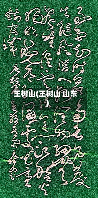 王树山(王树山 山东)