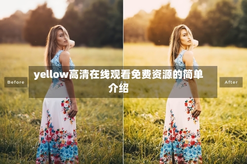 yellow高清在线观看免费资源的简单介绍-第2张图片