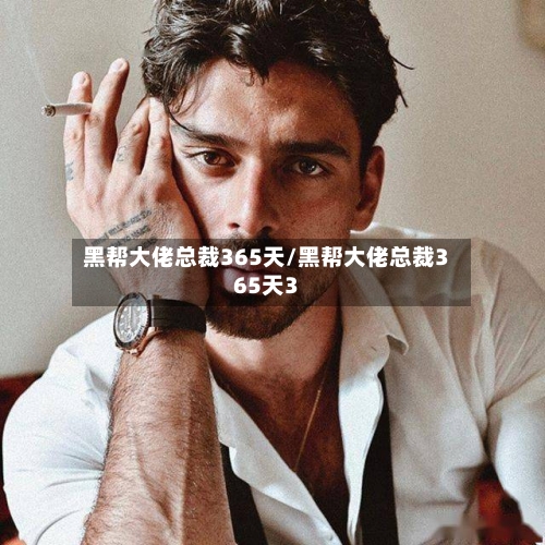 黑帮大佬总裁365天/黑帮大佬总裁365天3