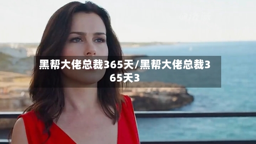黑帮大佬总裁365天/黑帮大佬总裁365天3-第2张图片