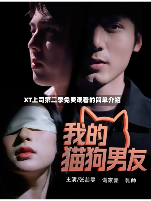 XT上司第二季免费观看的简单介绍-第2张图片