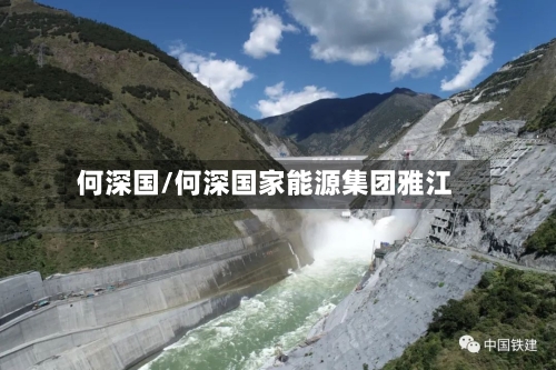 何深国/何深国家能源集团雅江