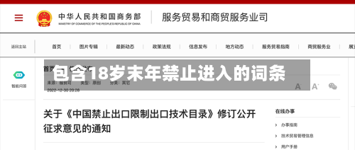 包含18岁末年禁止进入的词条-第2张图片