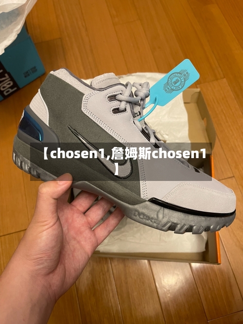 【chosen1,詹姆斯chosen1】-第2张图片