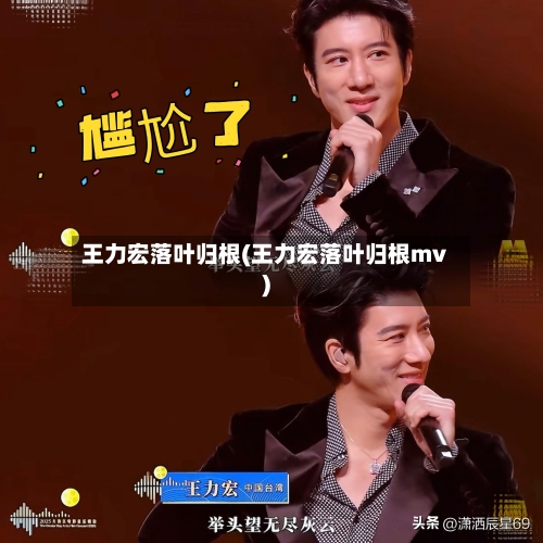 王力宏落叶归根(王力宏落叶归根mv)
