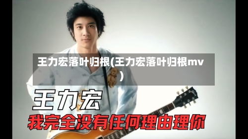 王力宏落叶归根(王力宏落叶归根mv)-第2张图片