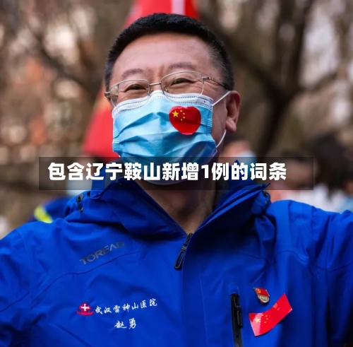 包含辽宁鞍山新增1例的词条