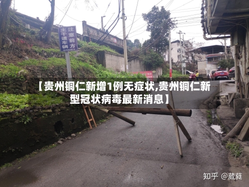 【贵州铜仁新增1例无症状,贵州铜仁新型冠状病毒最新消息】-第2张图片
