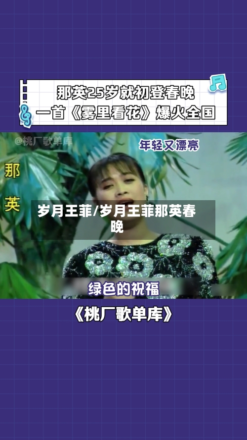 岁月王菲/岁月王菲那英春晚-第3张图片