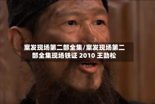 案发现场第二部全集/案发现场第二部全集现场铁证 2010 王劲松-第3张图片