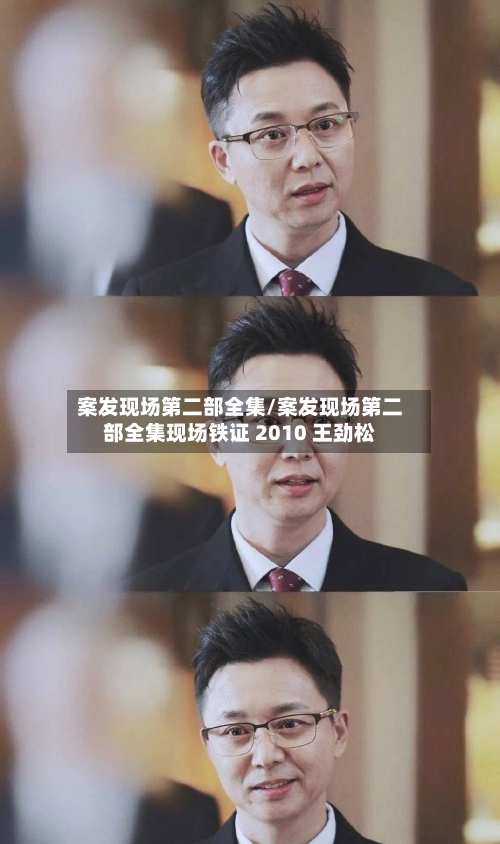 案发现场第二部全集/案发现场第二部全集现场铁证 2010 王劲松-第2张图片