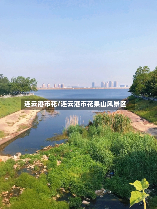 连云港市花/连云港市花果山风景区