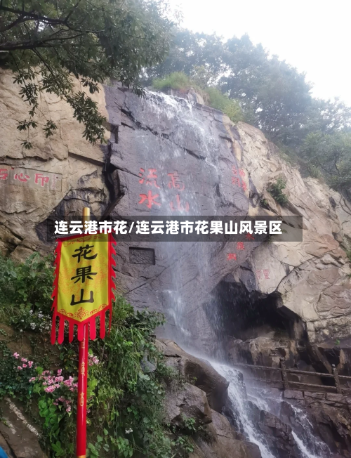连云港市花/连云港市花果山风景区-第3张图片